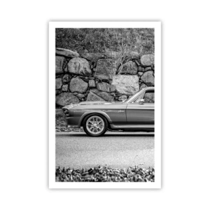 Pôster - Lenda dos anos 60 - 61x91 cm