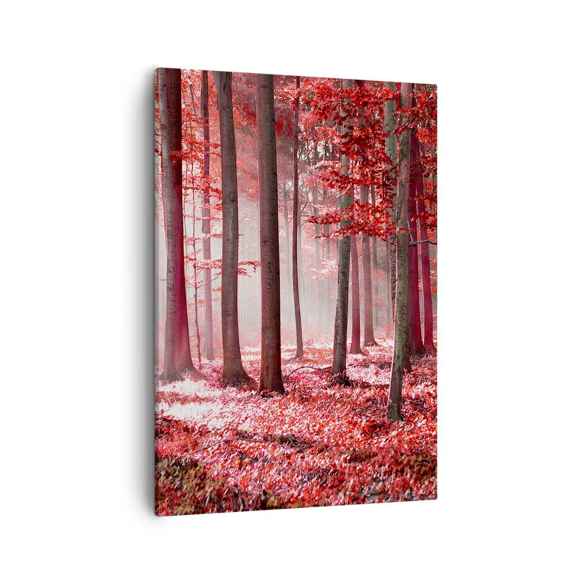 Quadro em tela - O vermelho também é belo - 50x70 cm