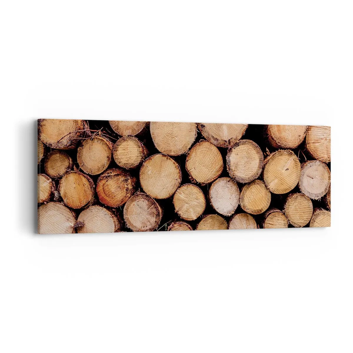 Quadro em tela - Um novo começo - 90x30 cm