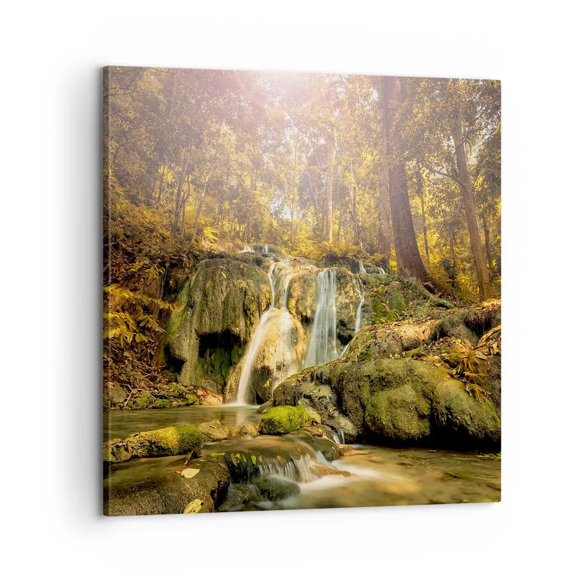 Quadro em tela - Cascata na floresta - 60x60 cm