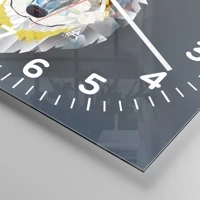 Mostrador numérico