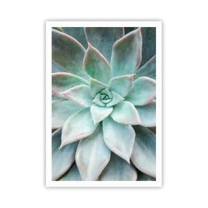 Pôster - O coração do deserto - 70x100 cm