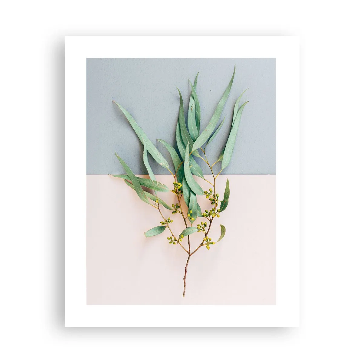 Pôster - Sutileza pastel - 40x50 cm