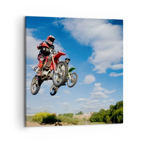 Quadro em tela - Salto celeste - 50x50 cm