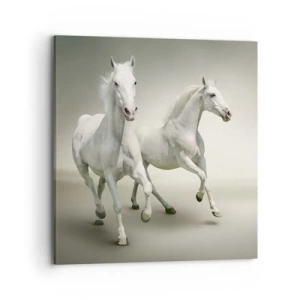 Quadro em tela - White power! - 70x70 cm