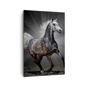 Quadro em tela - O cinza é lindo - 70x100 cm