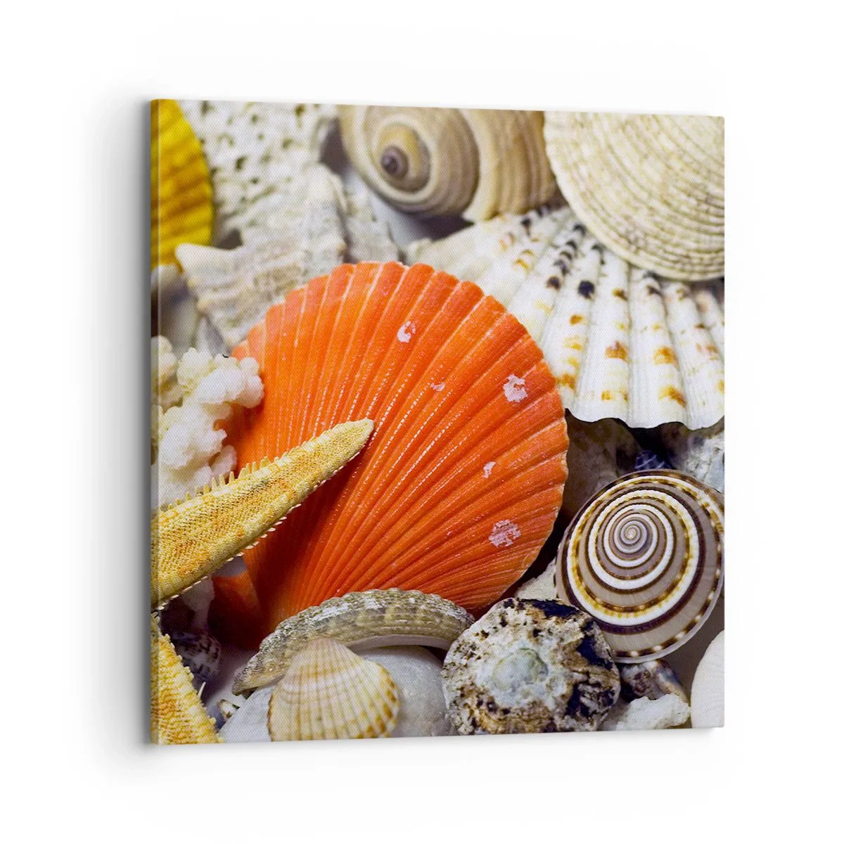 Quadro em tela - Tesouros do oceano - 70x70 cm