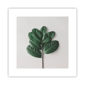 Pôster - Desenho da própria natureza - 30x30 cm