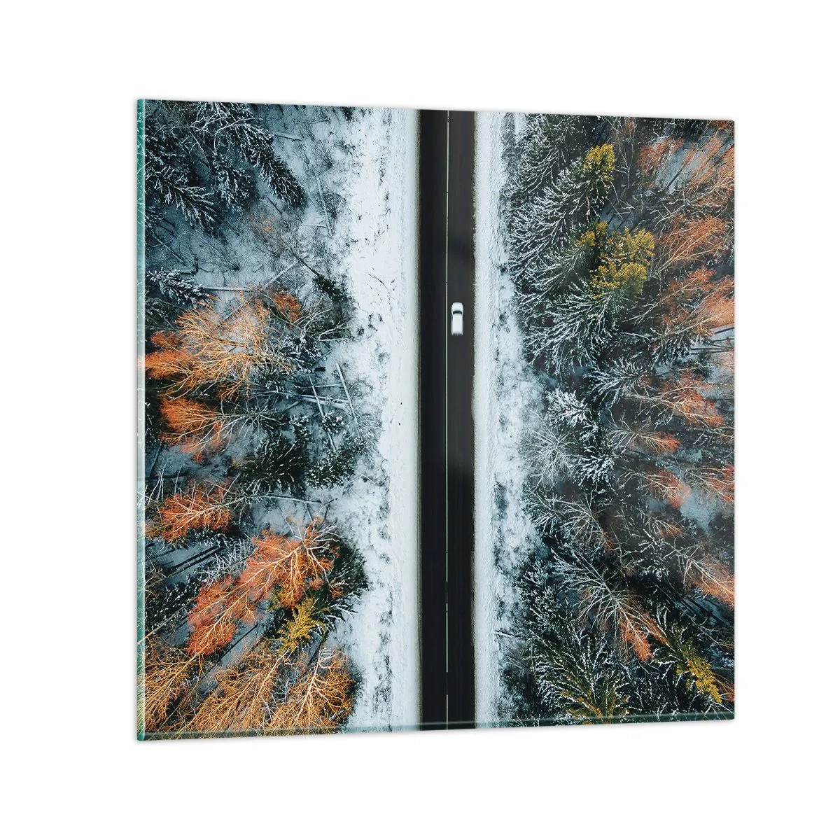 Quadro em vidro - Cortar a floresta no inverno - 40x40 cm