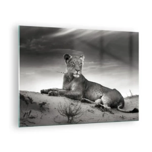 Quadro em vidro - Deixado no deserto em uma moldura preta e branca - 70x50cm - Descanso da Rainha do Deserto - Decoração de parede moderna para a sala de estar e quarto ARTTOR