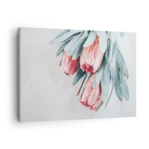 Quadro em tela - Flores de protea rosa suaves em um fundo claro - 70x50cm - Envergonhadas da sua própria beleza - Decoração de parede moderna para a sala de estar e quarto ARTTOR