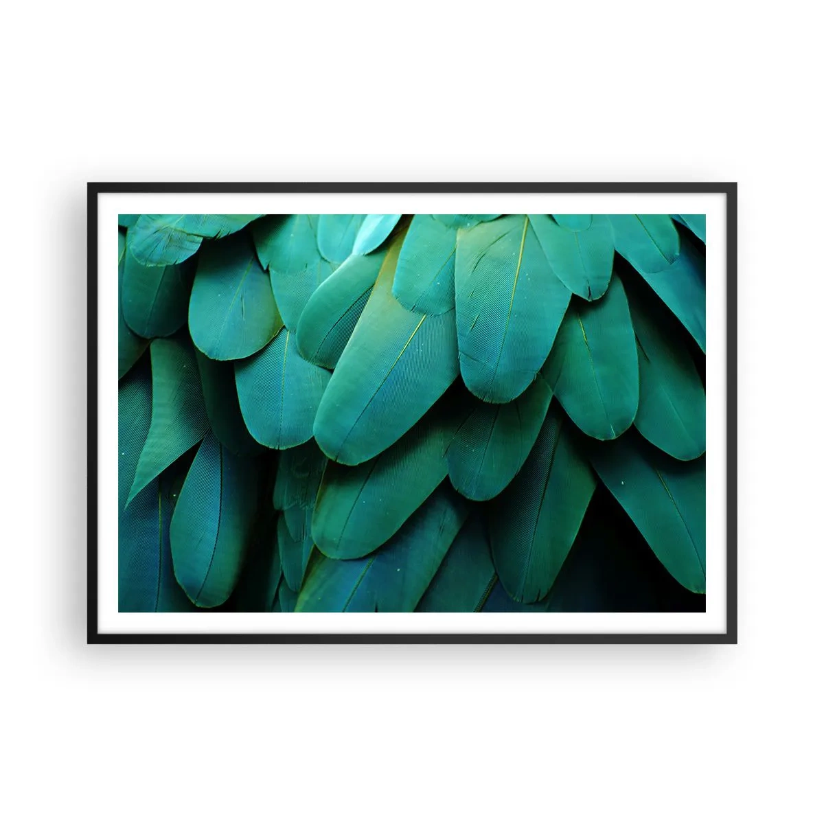 Pôster com moldura preta - Precisão de papagaio - 100x70 cm