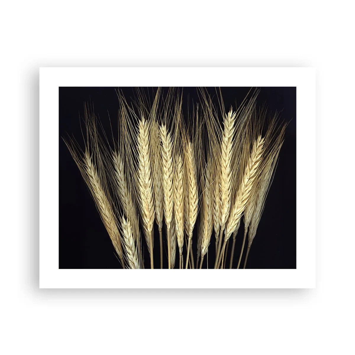 Pôster - Magia rústica - 50x40 cm