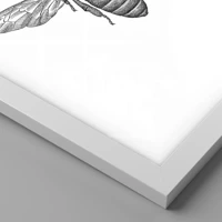 Branco
