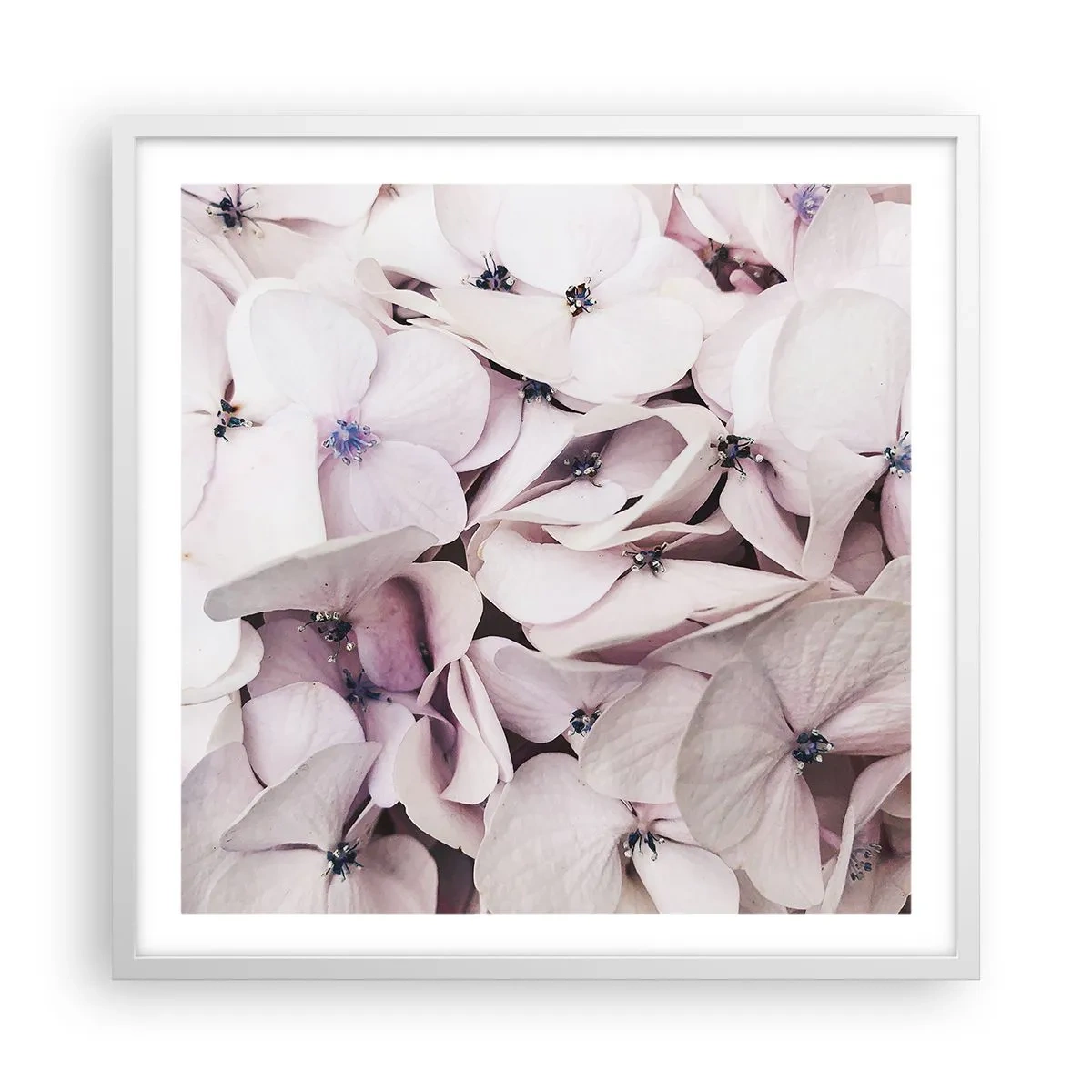 Pôster em moldura branca - Em uma inundação de flores - 60x60 cm
