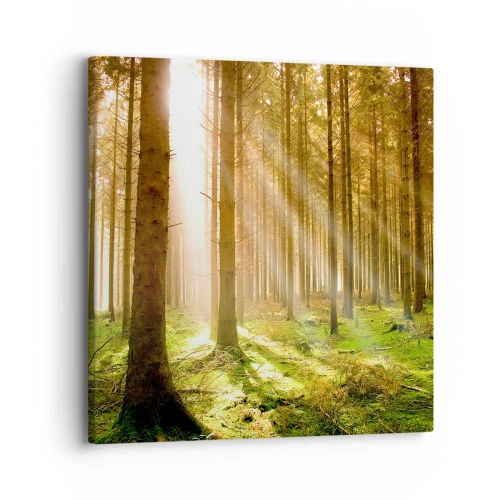 Quadro em tela - Os elfos estão prestes a aparecer - 30x30 cm