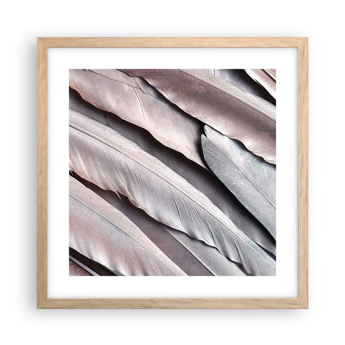 Pôster com moldura de carvalho claro - Em prateado rosa - 40x40 cm