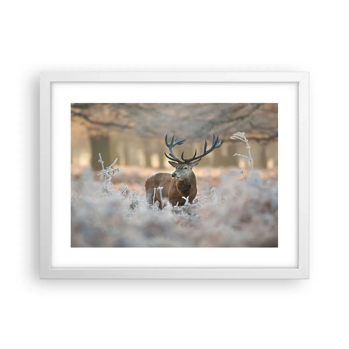 Pôster em moldura branca - Uma manhã fresca - 40x30 cm