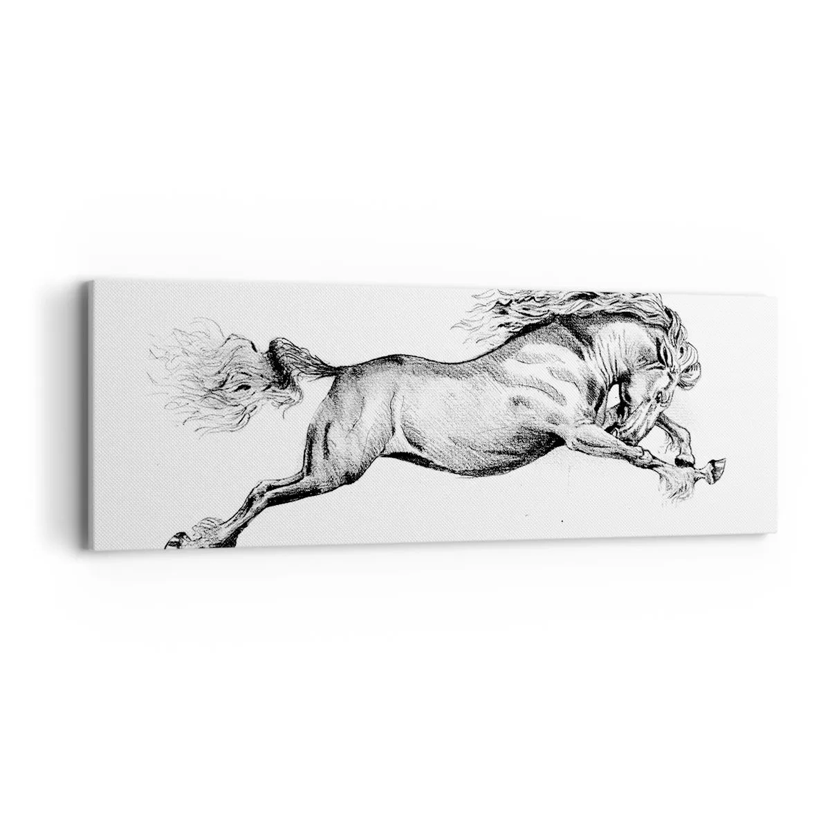 Quadro em tela - Parado a galope - 90x30 cm