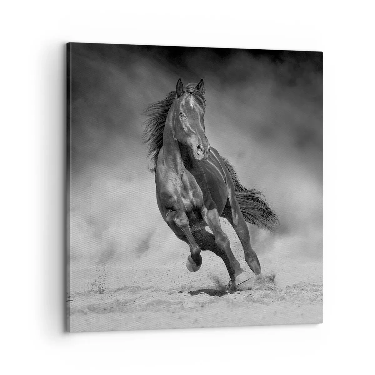 Quadro em tela - Digno do próprio emir - 60x60 cm