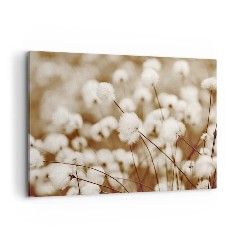 Quadro em tela - Campos felpudos - 100x70 cm