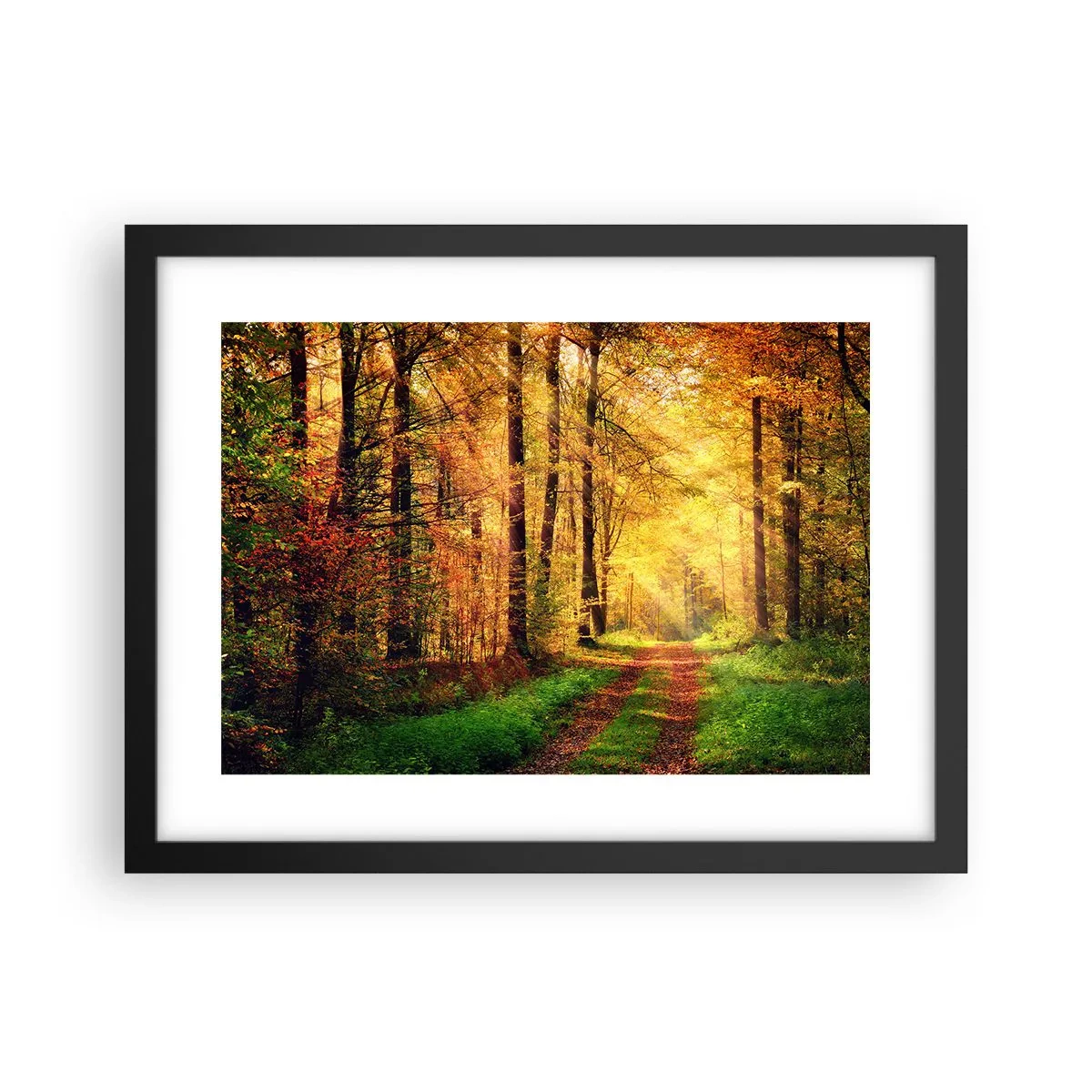 Pôster com moldura preta - Silêncio dourado da floresta - 40x30 cm