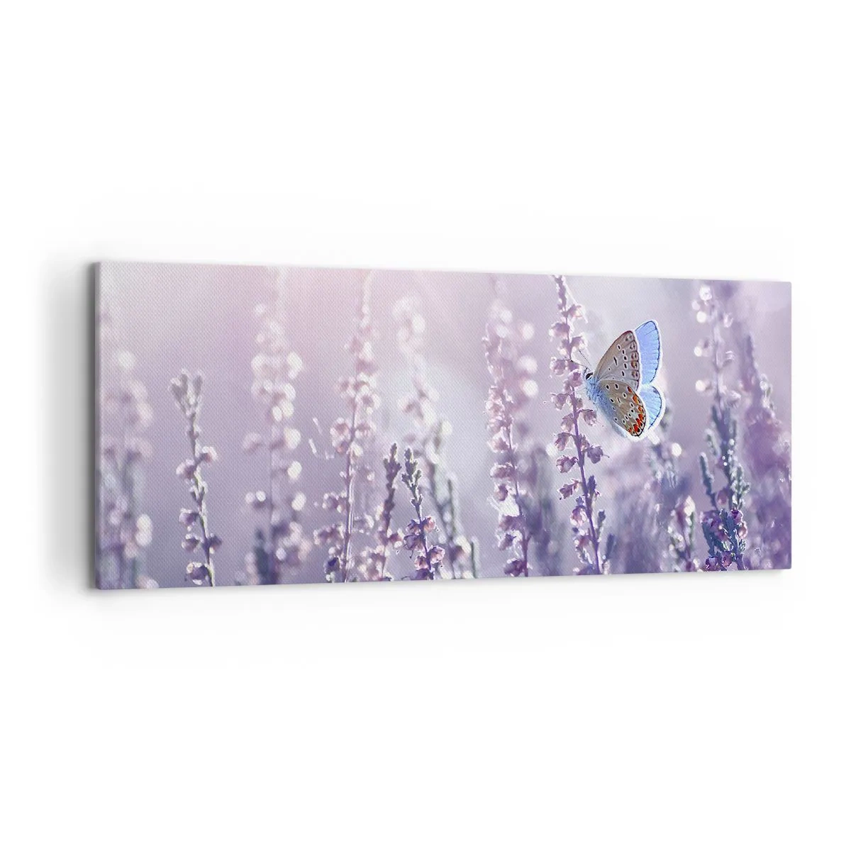 Quadro em tela - O beijo da borboleta - 120x50 cm