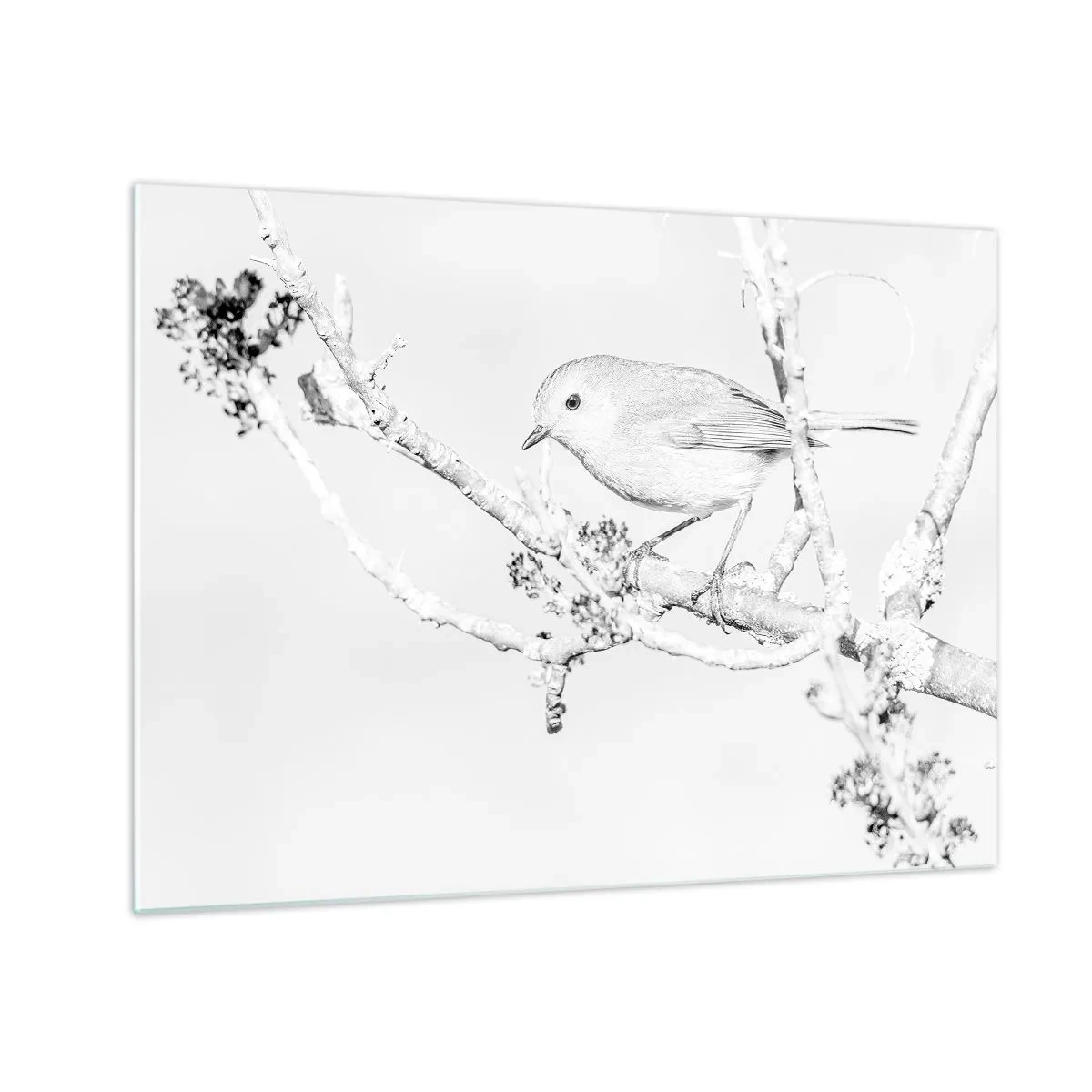Quadro em vidro - Um pássaro pousado em um galho em uma cena monocromática de inverno. - 70x50cm - Manhã de inverno - Decoração de parede moderna para a sala de estar e quarto ARTTOR