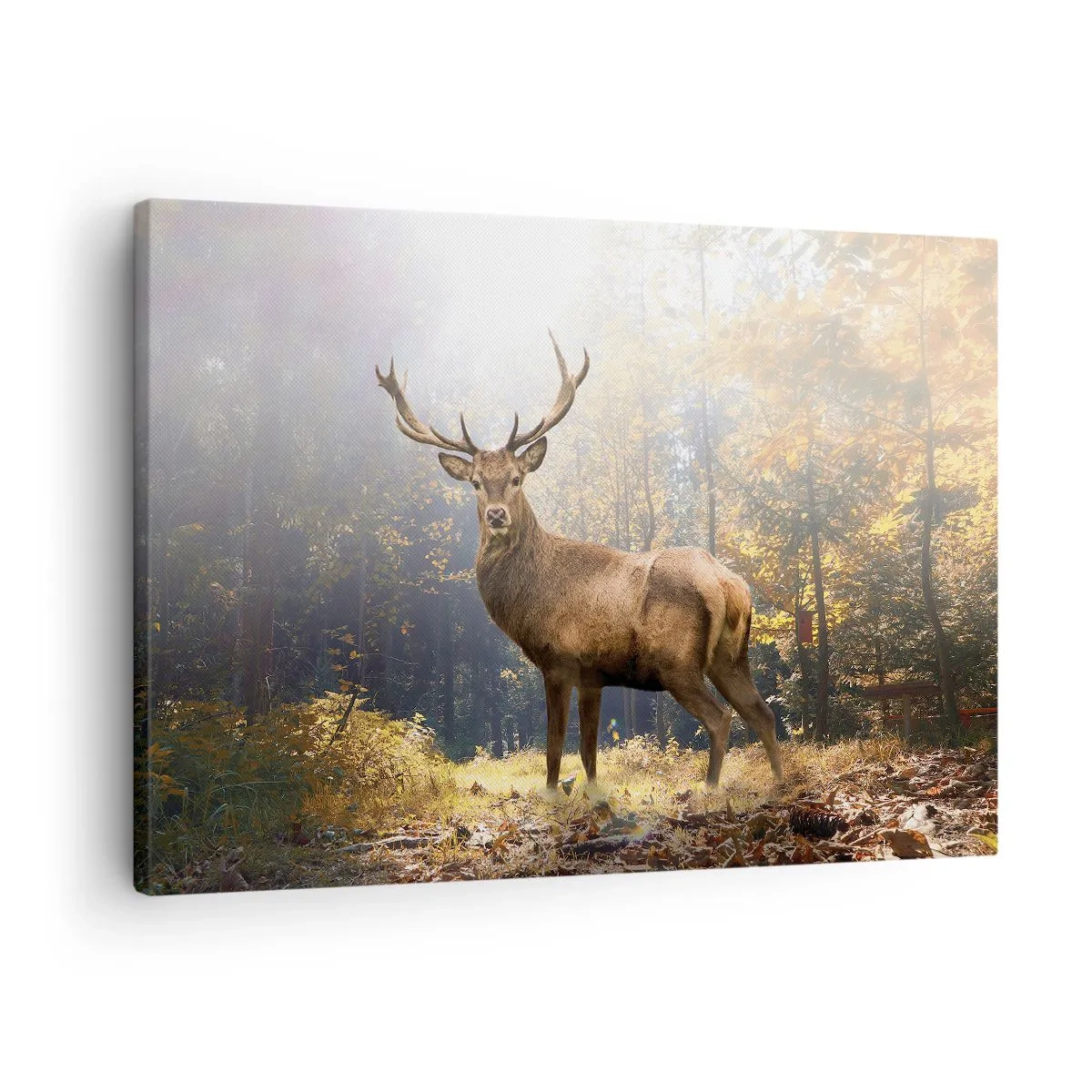 Quadro em tela - Veados na floresta de outono com raios de sol - 70x50cm - Em plena majestade - Decoração de parede moderna para a sala de estar e quarto ARTTOR