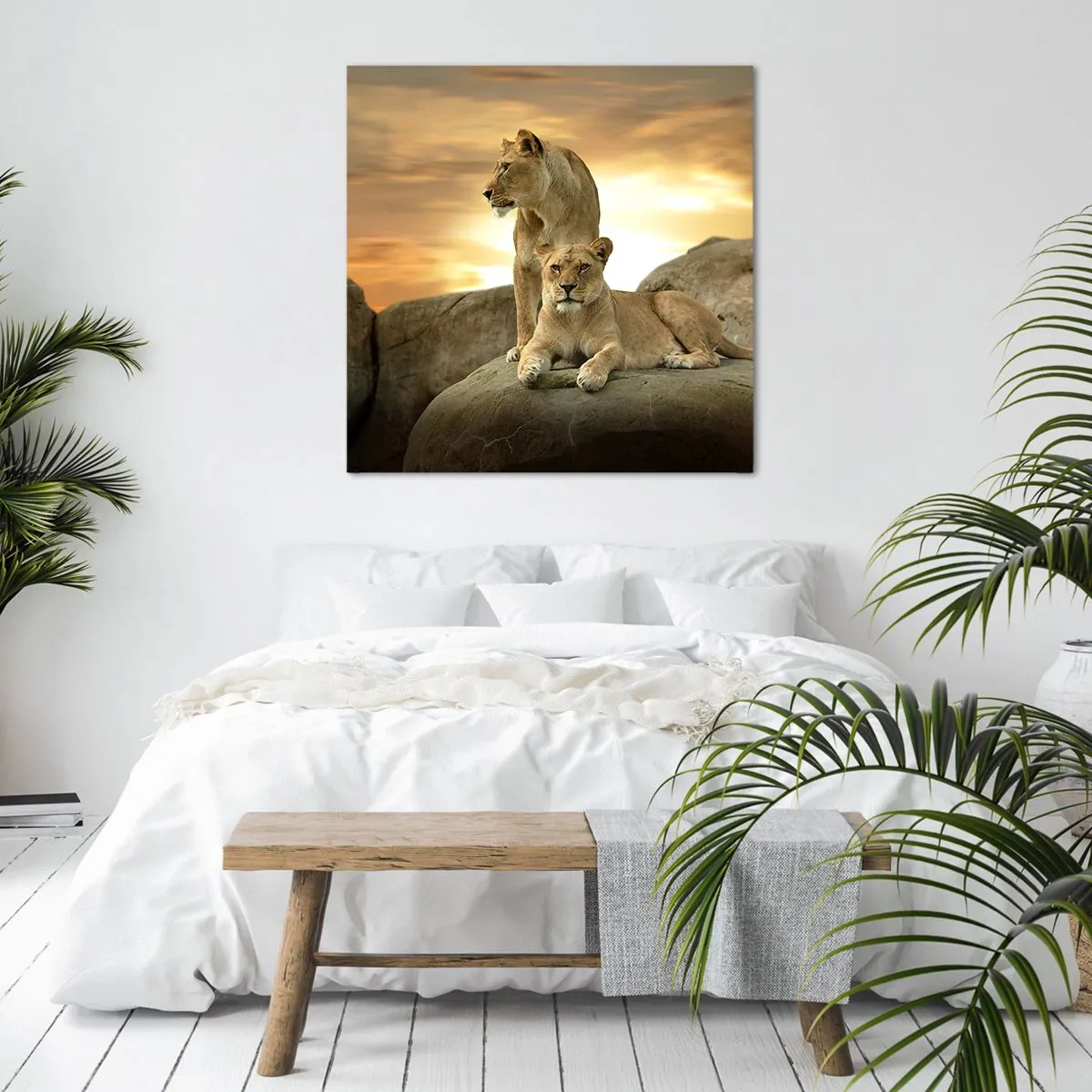 Quadro em tela - Majestade real - 30x30 cm