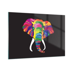 Quadro em vidro - O elefante que adorava banhar-se no arco-íris - 100x70 cm