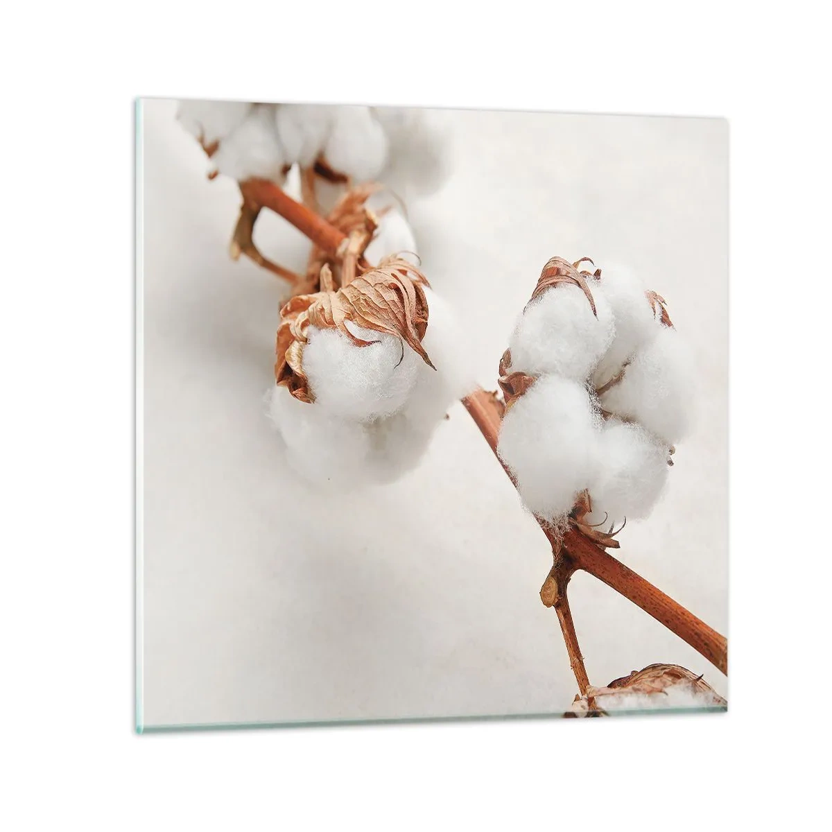 Quadro em vidro - Apenas acaricie - 40x40 cm