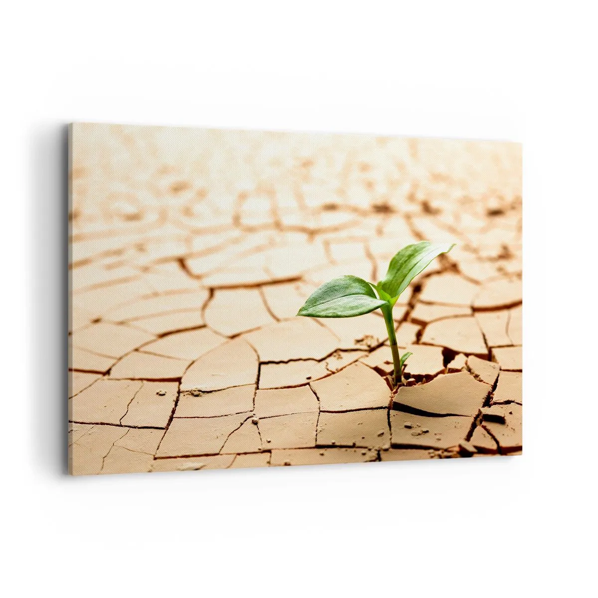 Quadro em tela - A força indomável da vida - 120x80 cm
