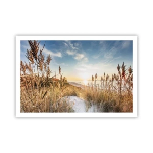 Pôster - Praia do Norte - 91x61 cm