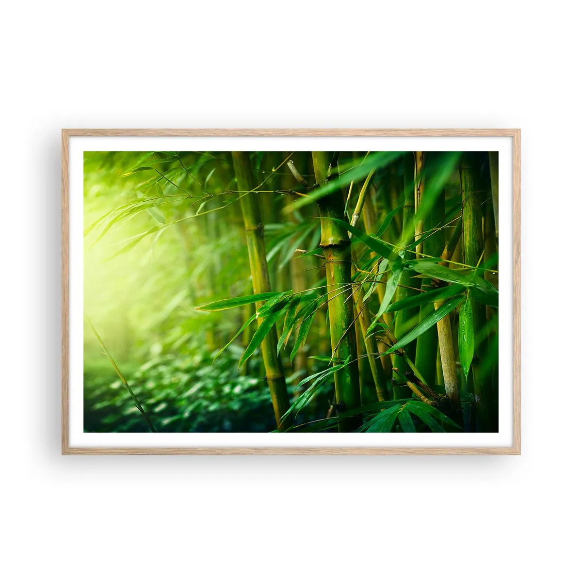 Pôster com moldura de carvalho claro - Conheça a vegetação - 100x70 cm
