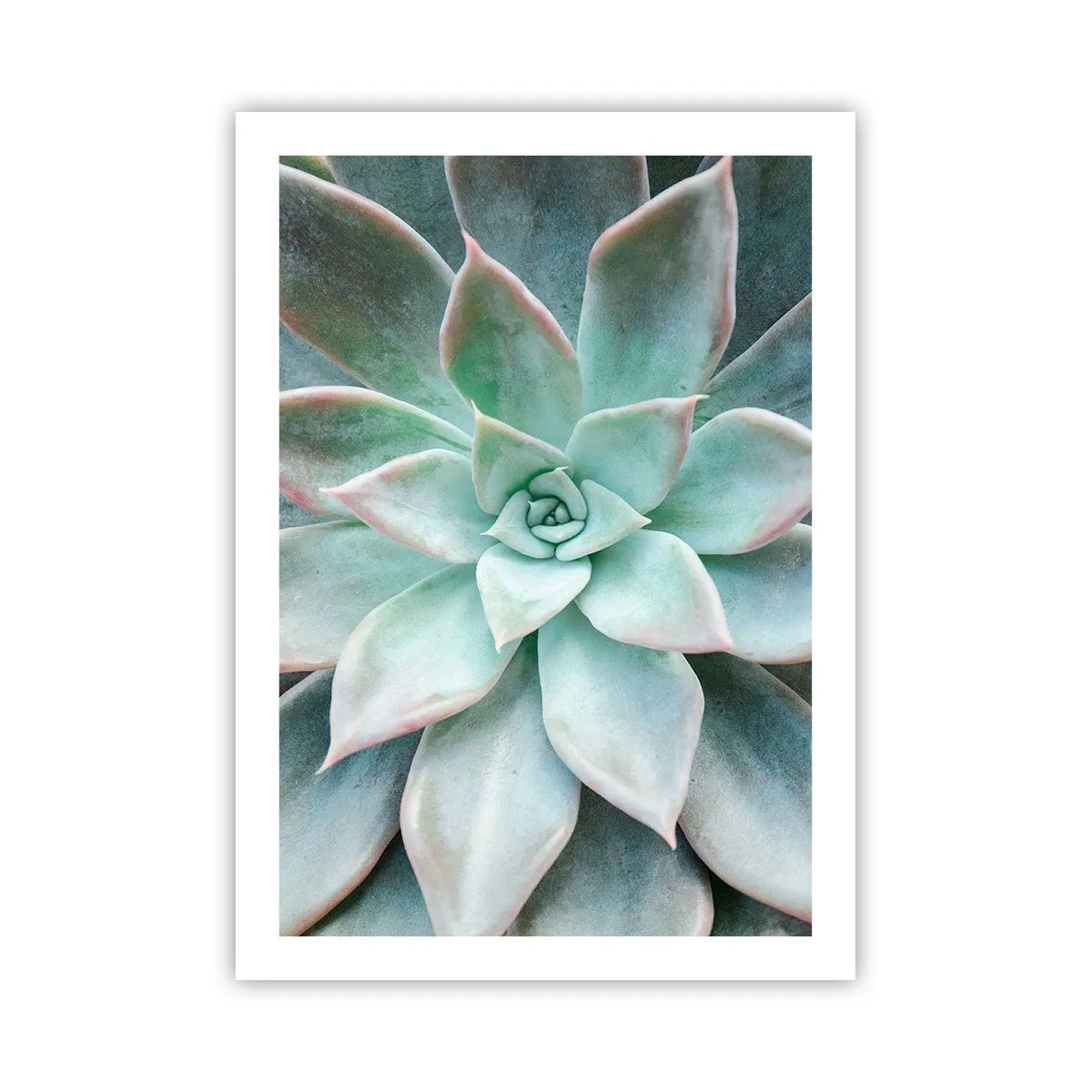 Pôster - O coração do deserto - 50x70 cm