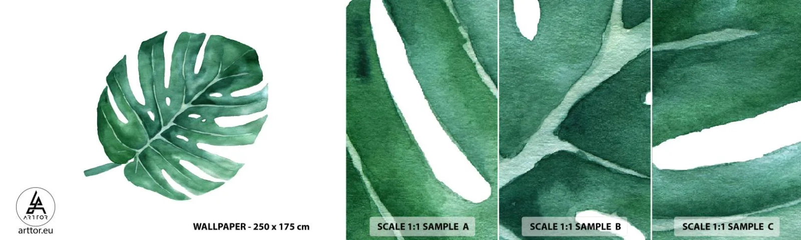 Amostra de papel de parede autocolante Deluxe Sticker - Conceito verde - Monstro, Folha, Boho - 100x30 cm