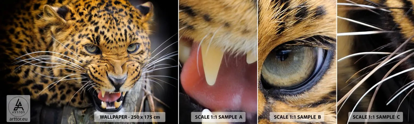 Amostra de papel de parede autocolante Deluxe Sticker - Não se aproxime, estou a avisar! - Animais, leopardo, Gato selvagem - 100x30 cm