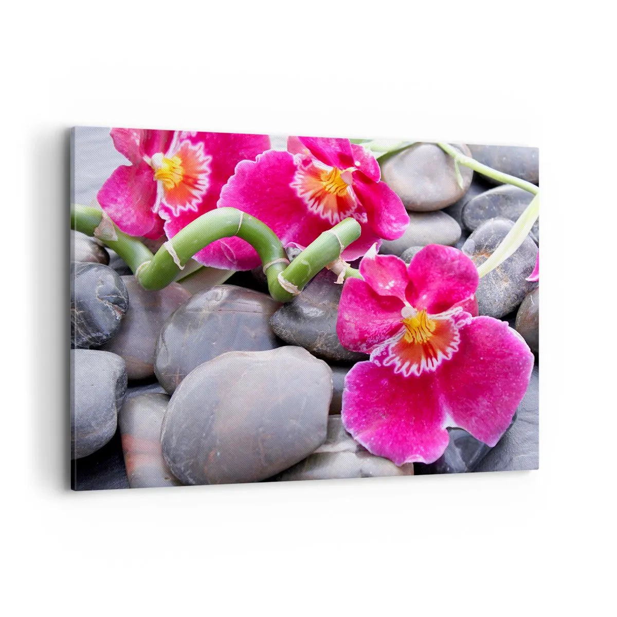 Quadro em tela - Frio e calor - 100x70 cm