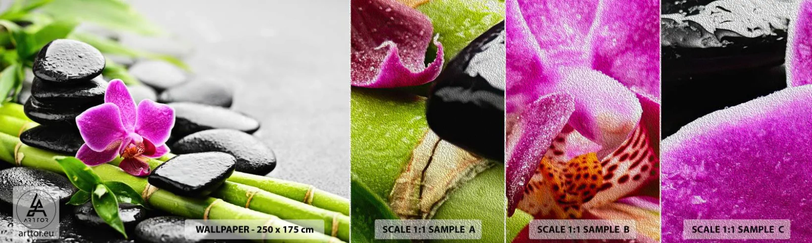 Amostra de papel de parede Premium Sand - Calmo equilíbrio - Flores, Orquídea, Orquídea - 100x30 cm