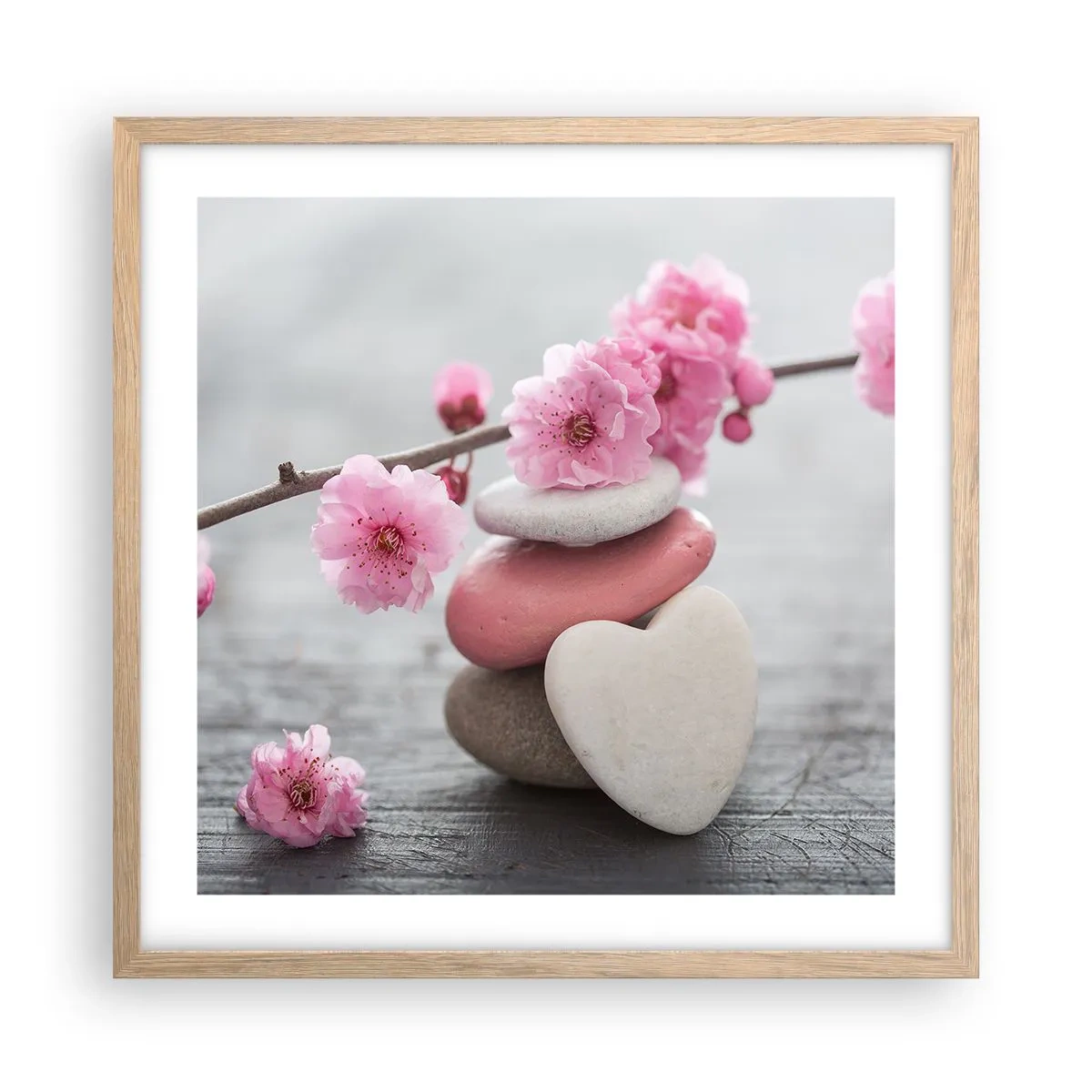 Pôster com moldura de carvalho claro - Flor de cerejeira - 50x50 cm