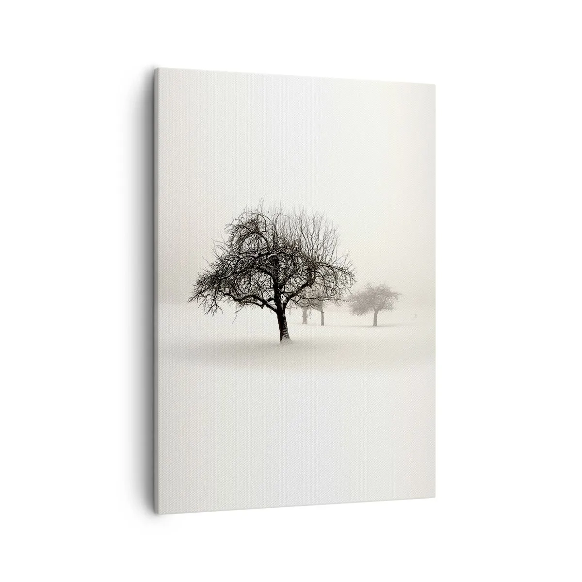 Quadro em tela - Sono de inverno - 50x70 cm