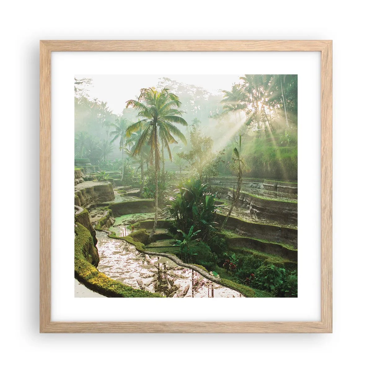 Pôster com moldura de carvalho claro - Crescer ao sol - 40x40 cm
