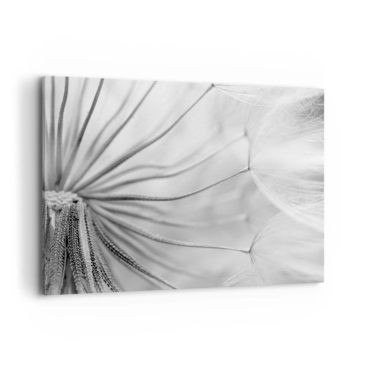Quadro em tela - Dentes de leão, pipas - 120x80 cm