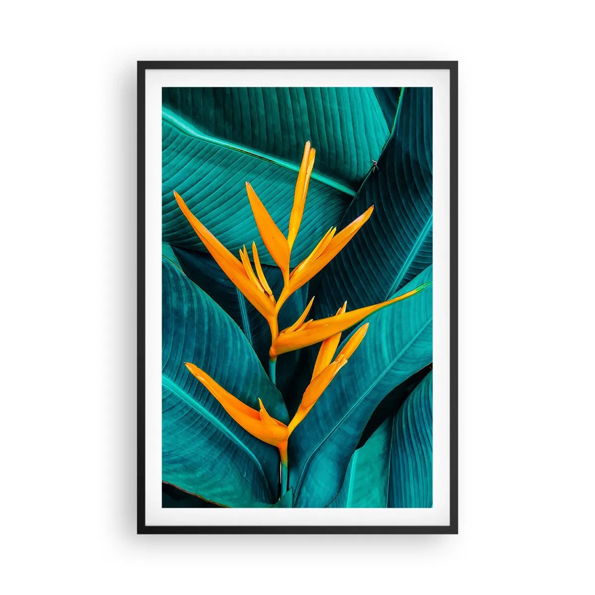 Pôster com moldura preta - Flor do Éden - 61x91 cm