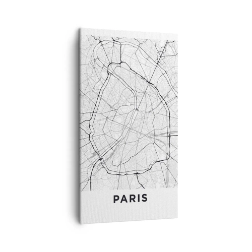 Quadro em tela - Flor de Paris - 45x80 cm