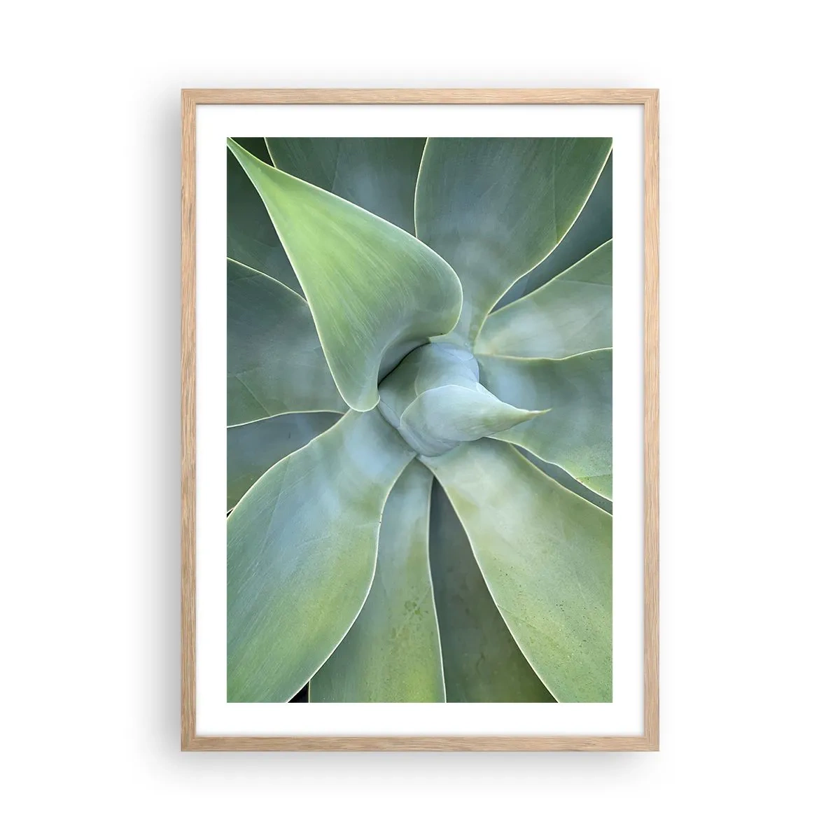 Pôster com moldura de carvalho claro - O nascimento da vegetação - 50x70 cm