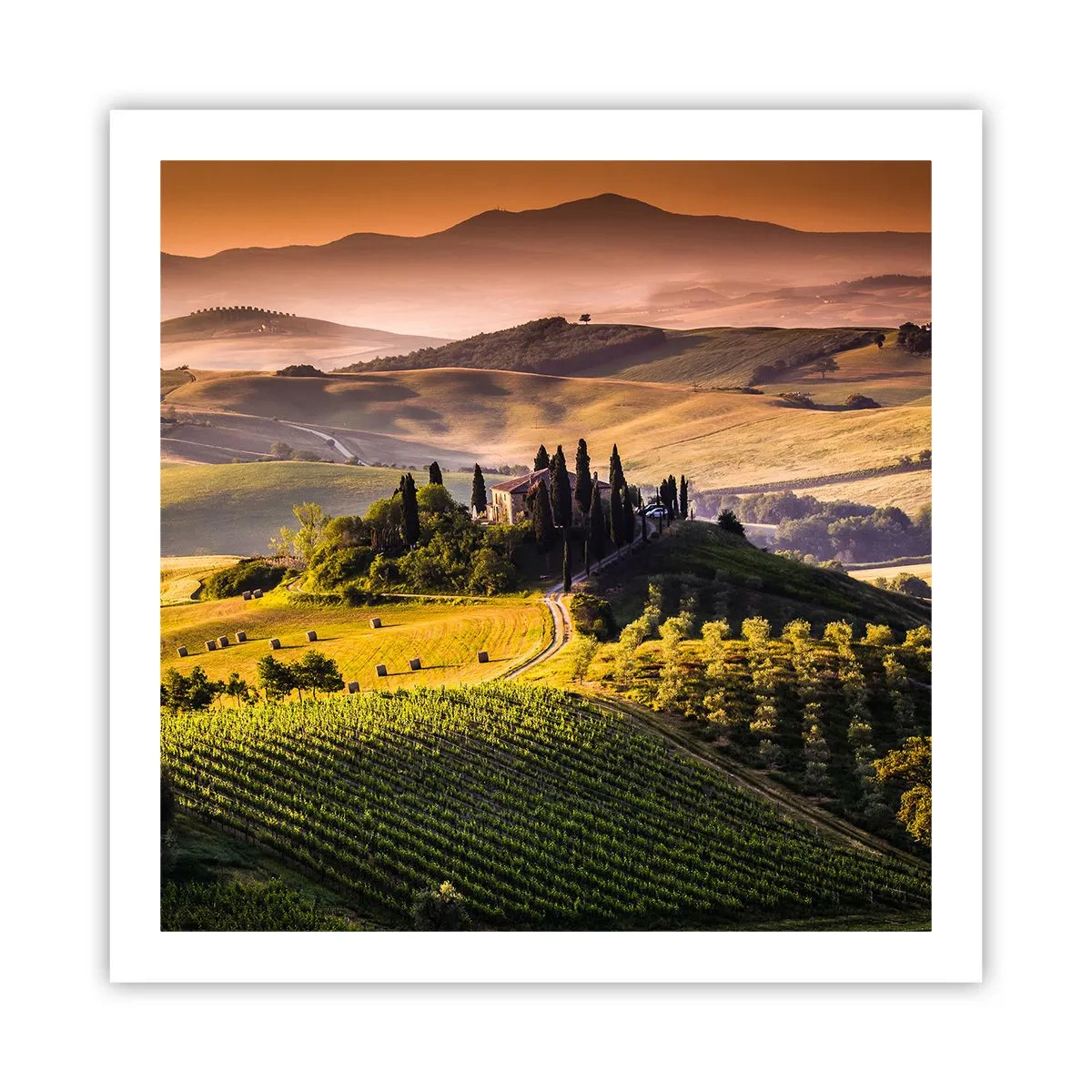 Pôster - Arcádia - Paisagem toscana - 60x60 cm