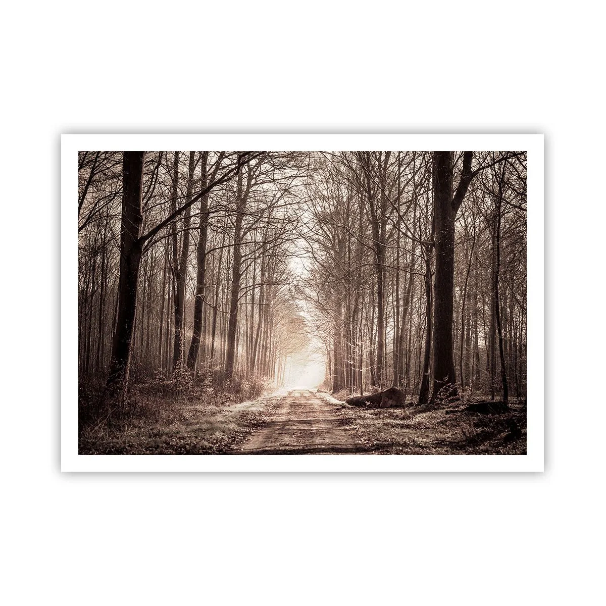 Pôster - Catedral na Floresta - 100x70 cm