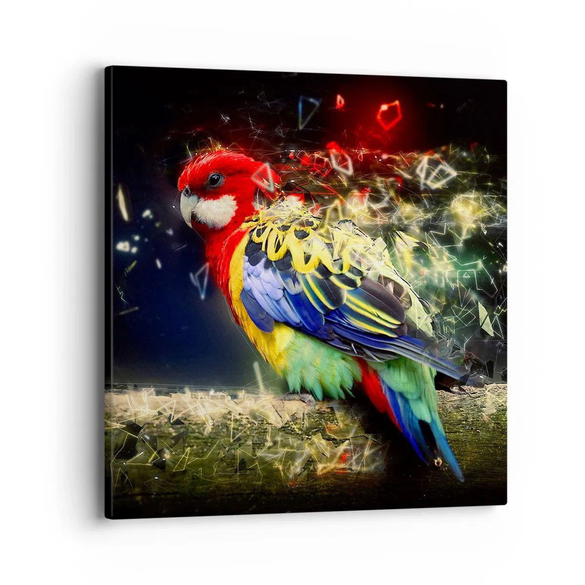 Quadro em tela - O mensageiro do Brilho - 40x40 cm